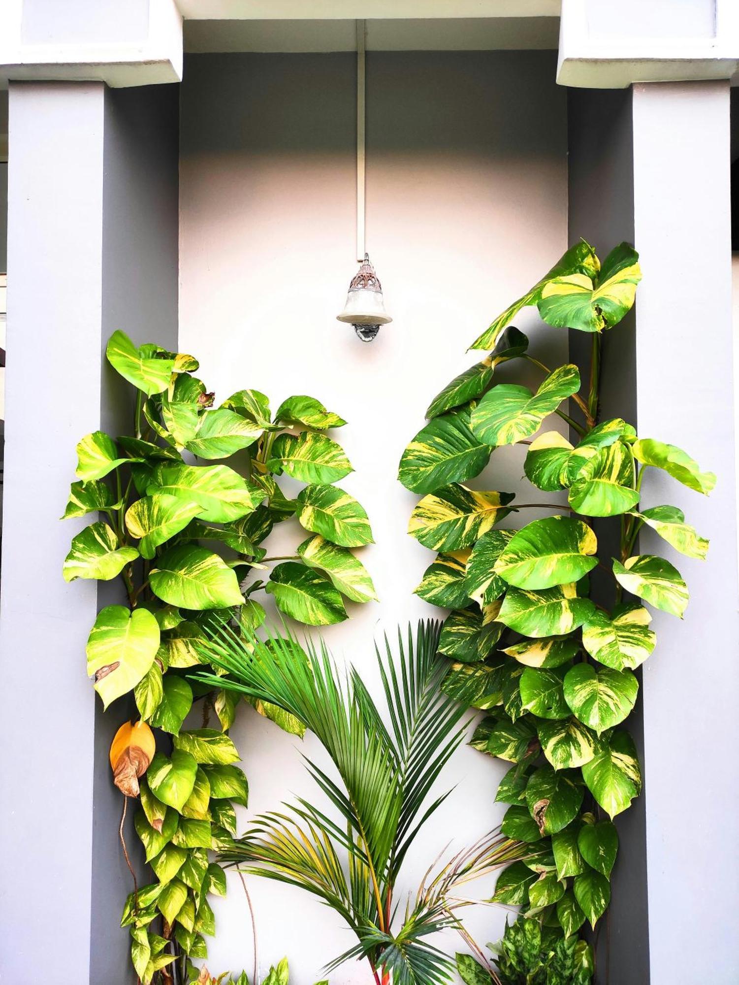 Mango Tree Villa Kochi 외부 사진